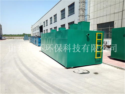 選擇專業(yè)伙伴，助力綠色生產(chǎn)——解析羊肉屠宰廠廢水處理設(shè)備